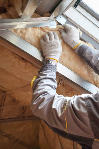 Best Residential Insulation Services  in Grand Saline, TX