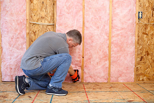 Best Insulation Replacement Services  in Grand Saline, TX